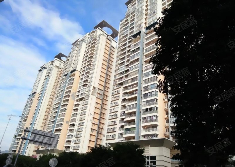 百合星城一期,百鸽路363号-深圳百合星城一期二手房,租房,房价-深圳