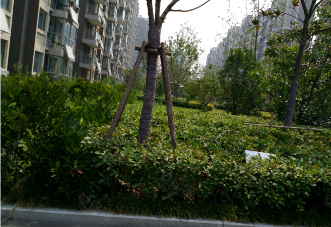 雍景新城(二期),宋锦路,近丽水路-徐州雍景新城(二期)二手房,租房