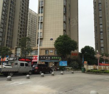 奥园龙川玖著