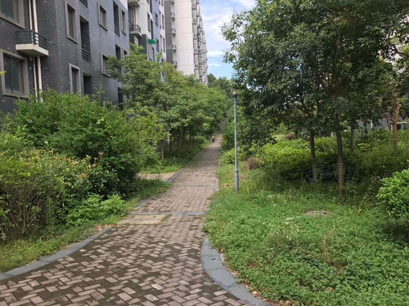 西溪庭院,闲林东路-杭州西溪庭院二手房,租房,房价-杭州安居客