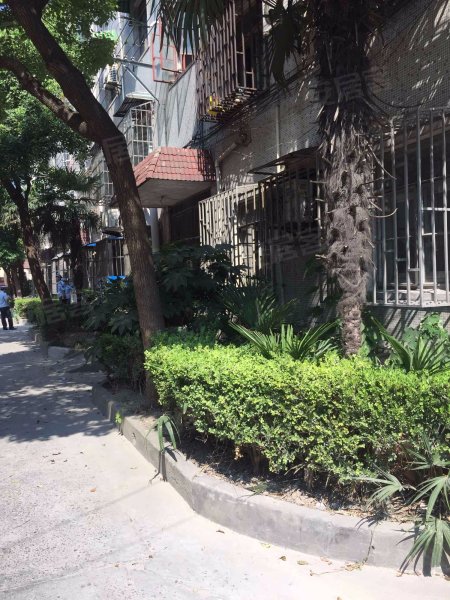 淞滨路765弄小区 