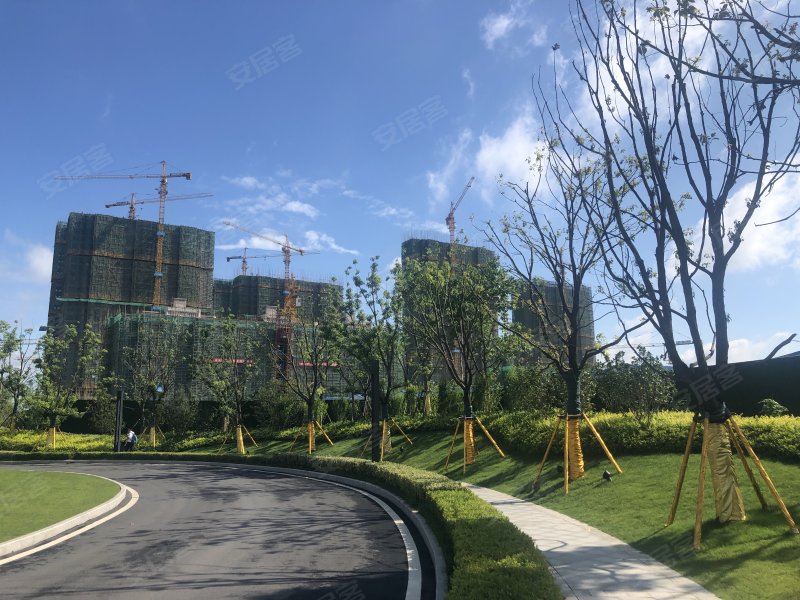 孔雀城航天府滨江苑,112省道-武汉孔雀城航天府滨江苑二手房,租房