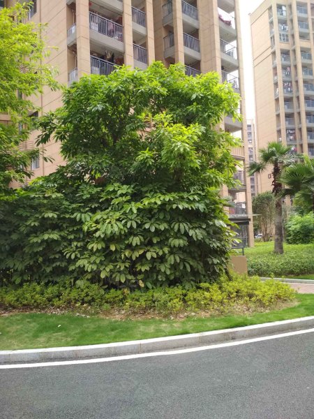 迎霞新城北区,先农路8号-福州迎霞新城北区二手房,租房,房价-福州安居