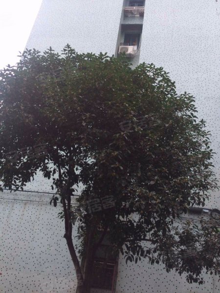 东陆新村三街坊 