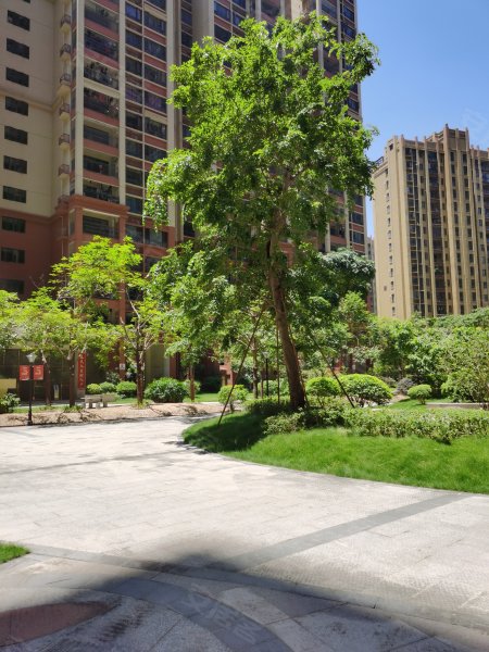 星海湾,新台北街,近阳春大道南-阳江星海湾二手房,租房,房价-阳江安居