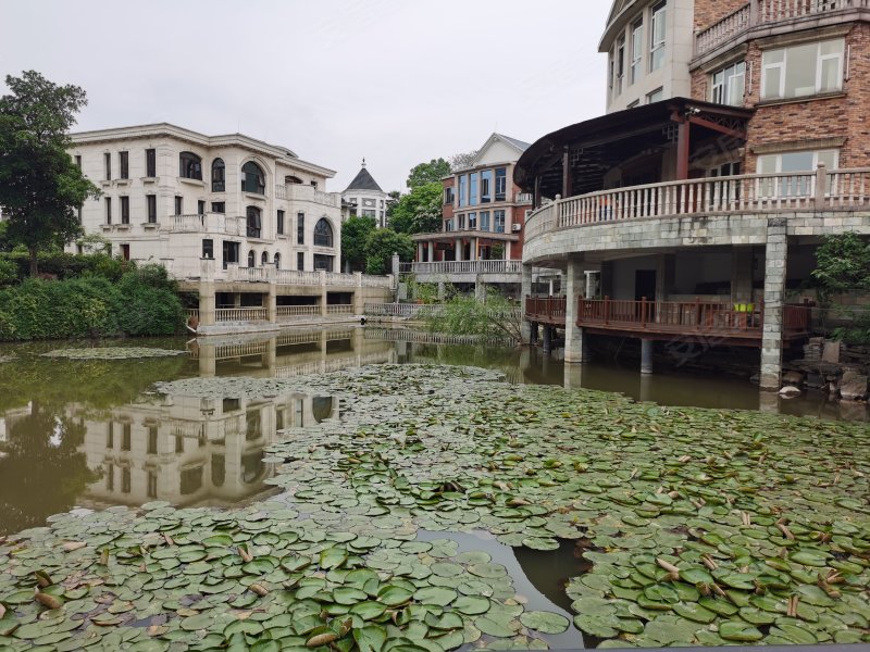 山水芙蓉国际新城(别墅)