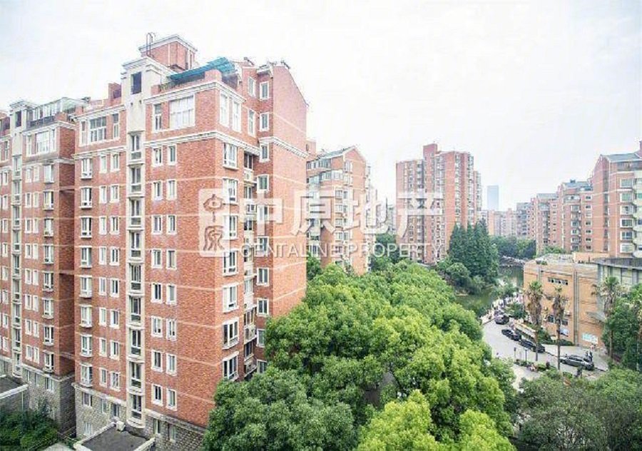 精装南北通动静分离满五 徐汇滨江入门级产品,盛大花园二手房,1618万