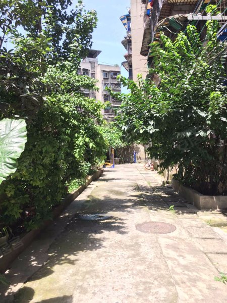 解放西路14号苑,解放西路14号-成都解放西路14号苑二手房,租房,房价