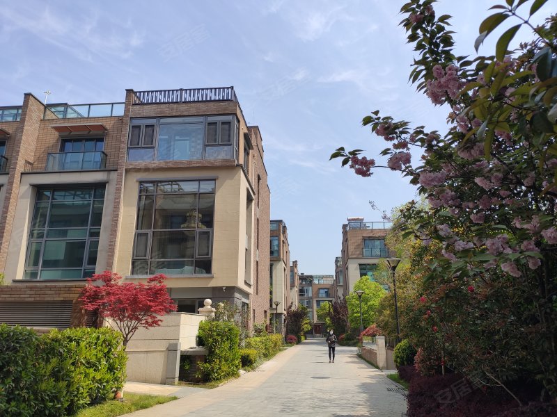 涟城(一期别墅),秀山路19号-南京涟城(一期别墅)二手房,租房,房价