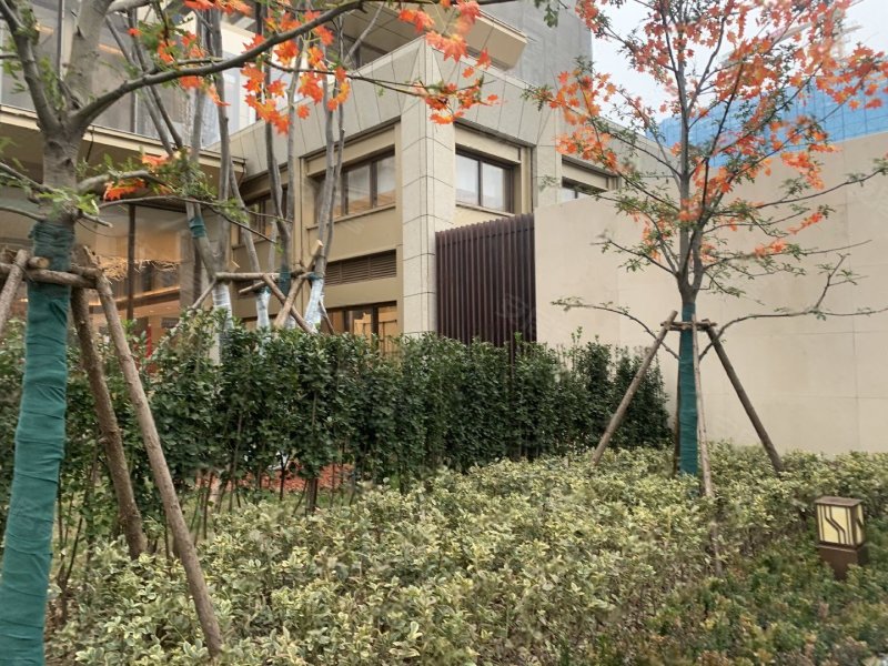 金融街壹号,黄浦大街-武汉金融街壹号二手房,租房,房价-武汉安居客