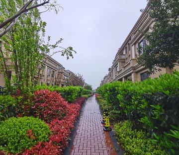 祥生金麟府(别墅)