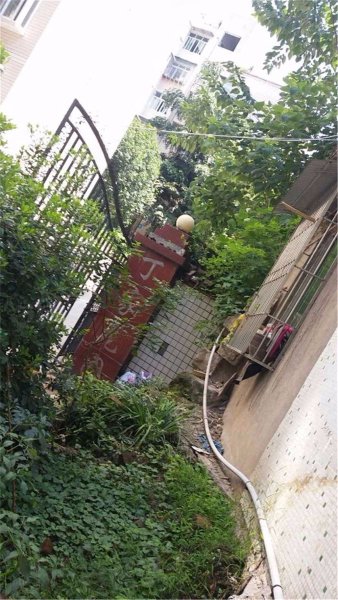 丁家花园,新建路17号-重庆丁家花园二手房,租房,房价-重庆安居客