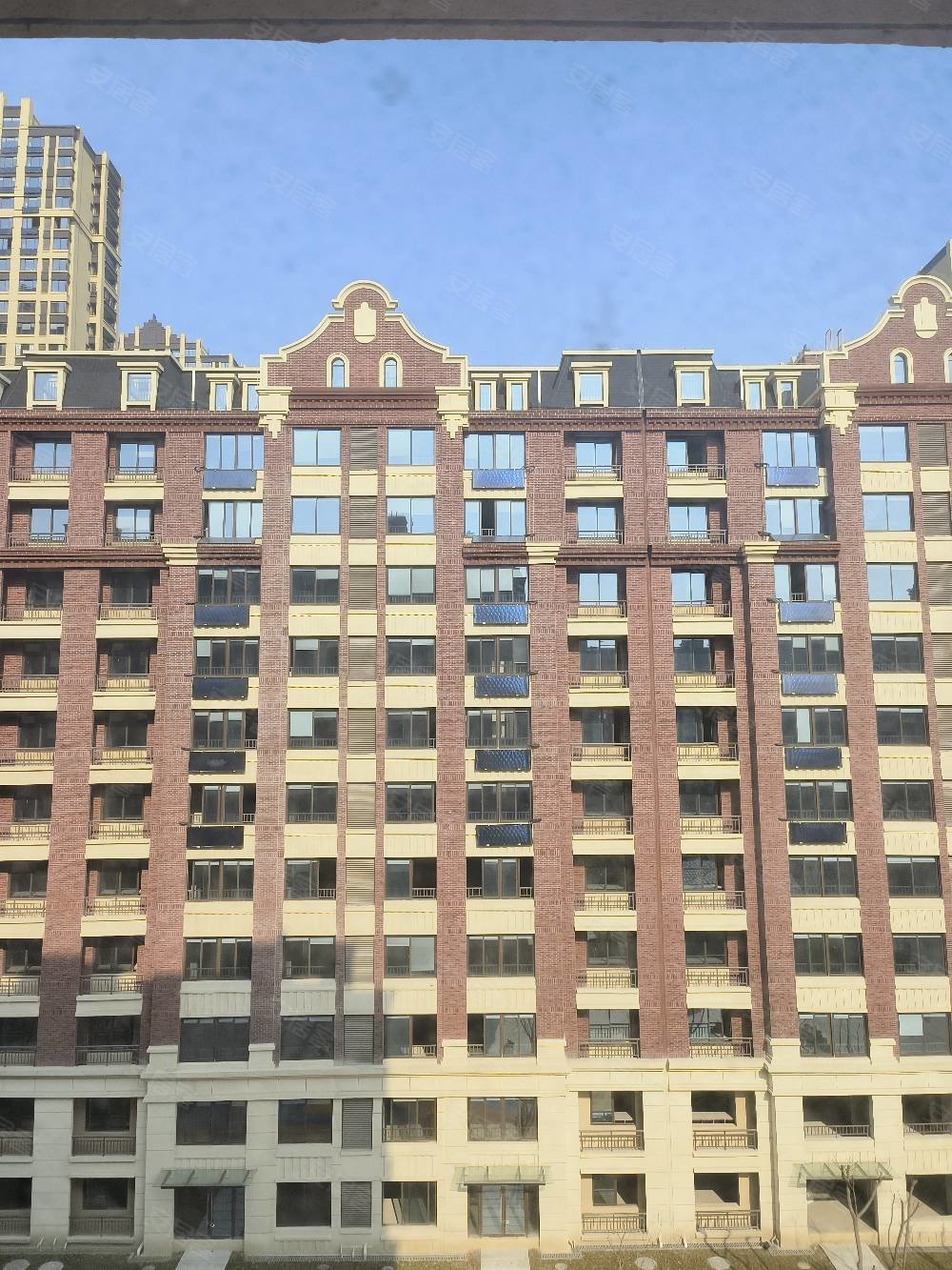 奥体御府正宗毛坯洋房6层无遮挡阳光