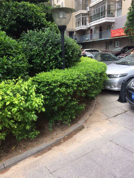 小区图