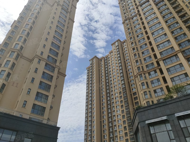 蓝湾国际(c区),东岳庙街41号-临沂蓝湾国际(c区)二手房,租房,房价