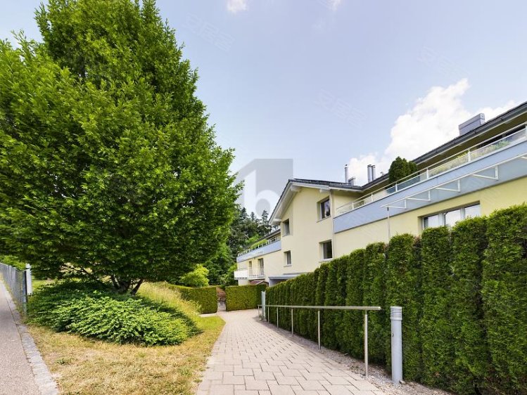 瑞士约¥878万豪华，全景和露台二手房公寓图片