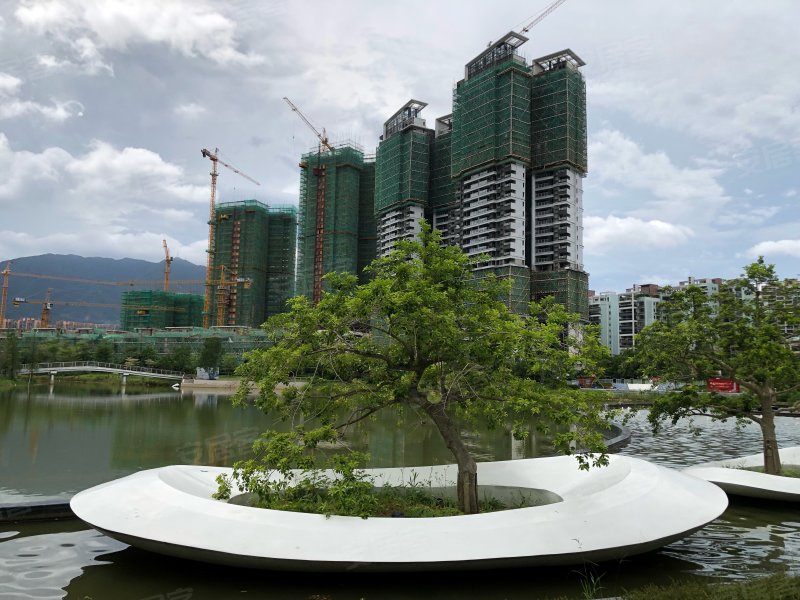 阳光城檀府,蓝塘三路-肇庆阳光城檀府二手房,租房,房价-肇庆安居客