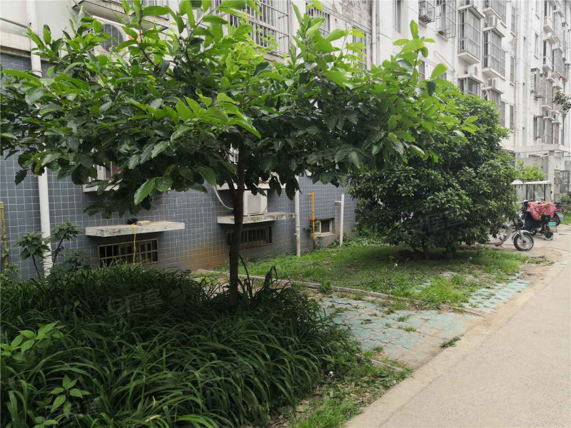 东方丽景,水渡口大道-淮安东方丽景二手房,租房,房价-淮安安居客