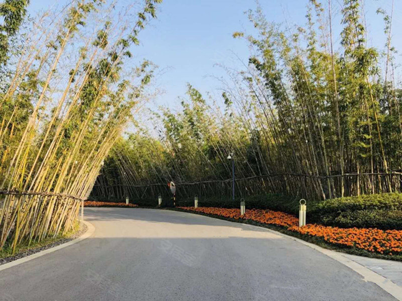 证大九间堂,康厚路10号-南京证大九间堂二手房,租房,房价-南京安居客