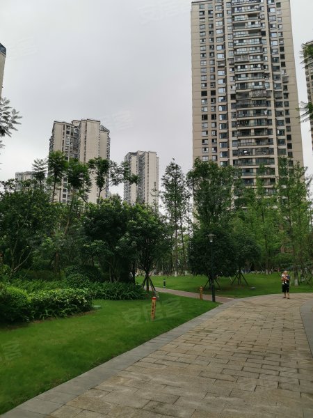 鲁能山水原著溢香谷
