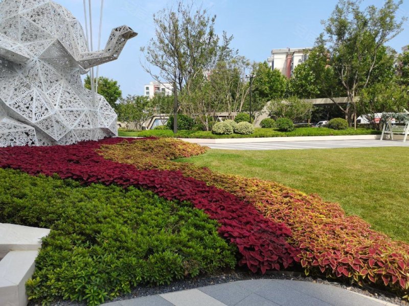 青特星城,黑龙江路286号-青岛青特星城二手房,租房,房价-青岛安居客