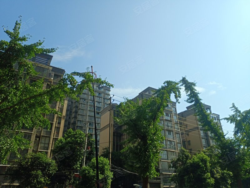 阳光白鹭洲,文正街-南充阳光白鹭洲二手房,租房,房价-南充安居客