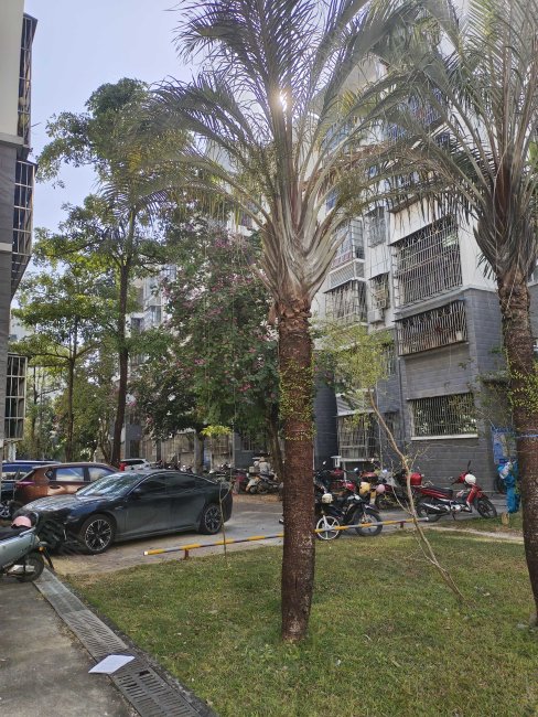 凤凰小区3室2厅2卫122.97㎡南106万