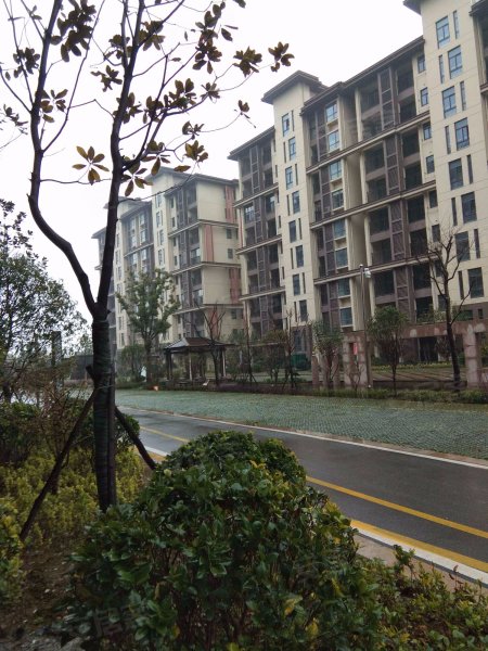 郦景澜湾