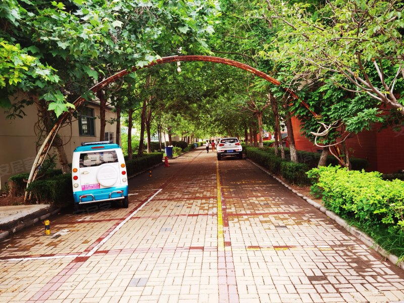 金马家园,金马路2685号-潍坊金马家园二手房,租房,房价-潍坊安居客