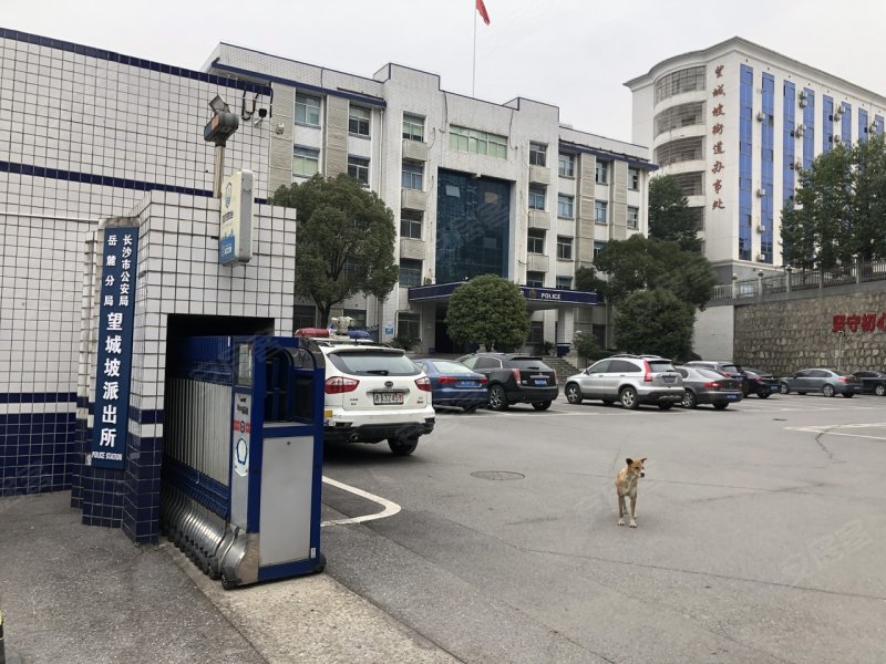 望城坡派出所宿舍