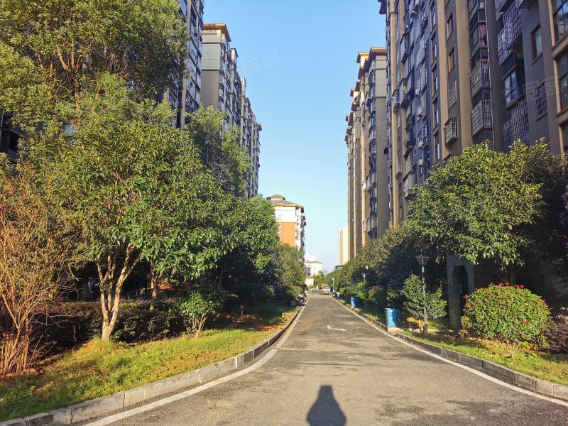 滨江花园(赫山),滨江路345号-益阳滨江花园(赫山)二手房,租房,房价