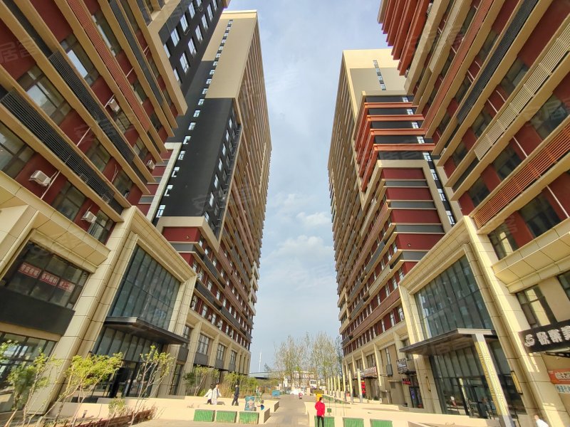 大众欢乐颂,自由大路,近福州街-济南大众欢乐颂二手房,租房,房价-济南