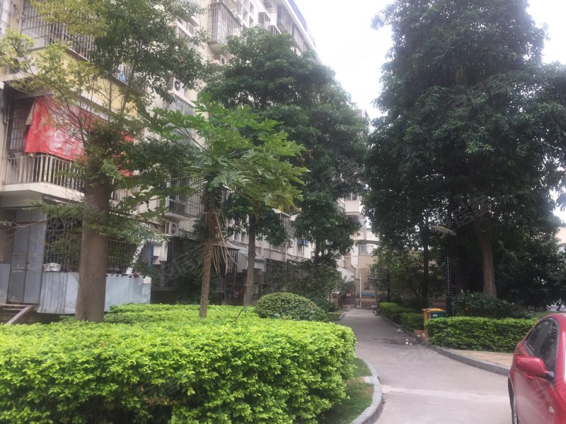 莲坂新村小区(三区),莲景路23-85号-厦门莲坂新村小区(三区)二手房