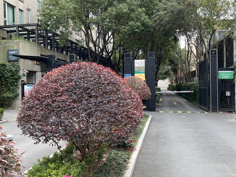 浦江华侨城(二期1809弄别墅)