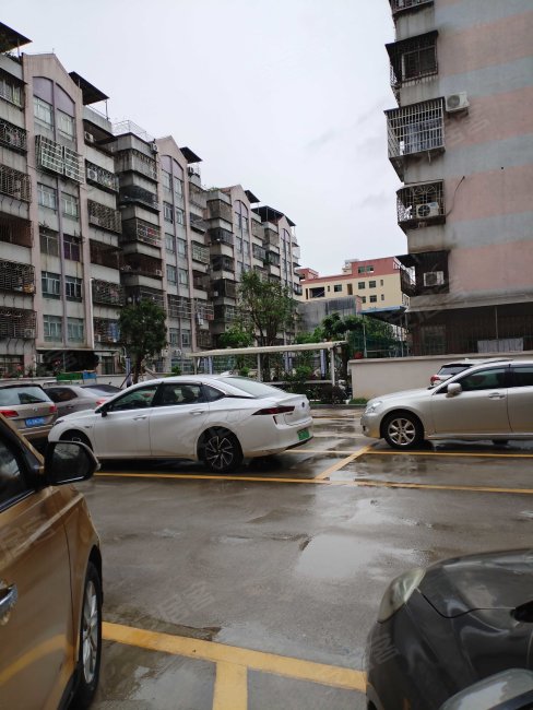 东岳花园 南向采光好 双卫小三房 商业配套成熟 可拎包入住