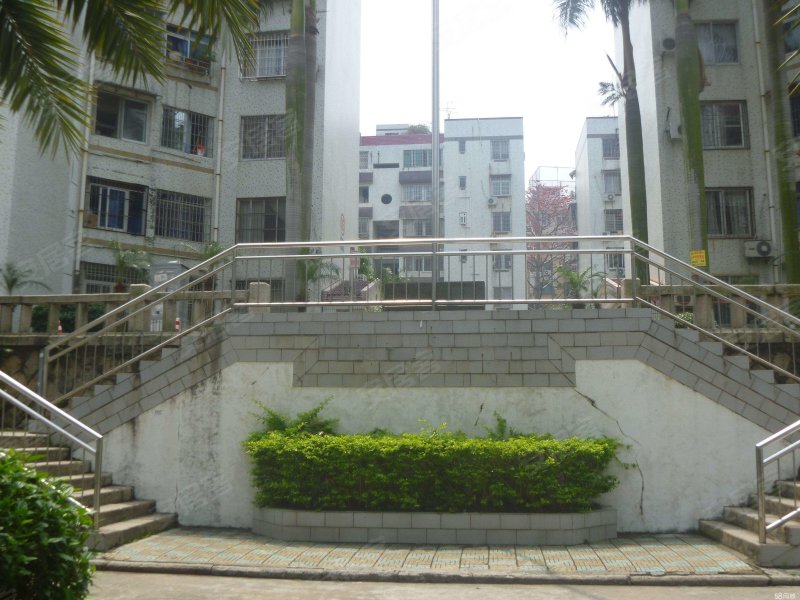 西林西里1-85号,111-122号,西林东里2-64号-厦门金鸡亭花园小区二手房