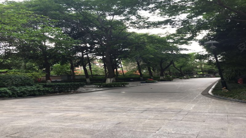 华宇蓉国府,玉林一巷9号,人民南路四段12号-成都华宇蓉国府二手房