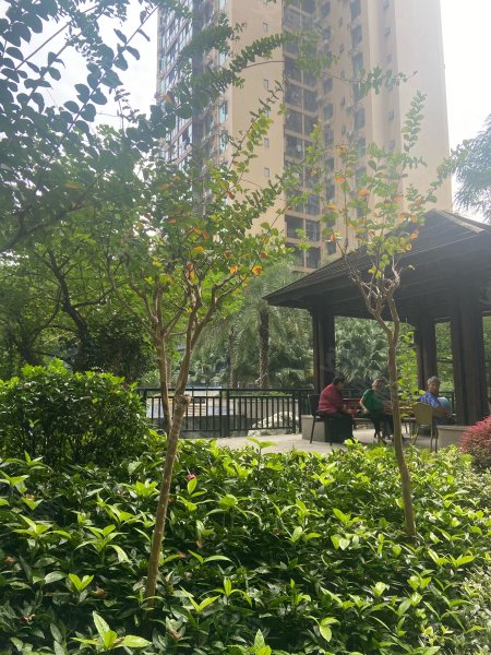 金色春天,岷江大道中段888号-眉山金色春天二手房,租房,房价-眉山安居