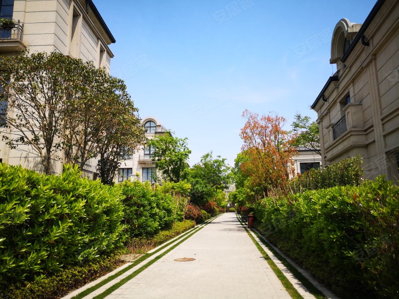 绿地海珀风华(别墅)