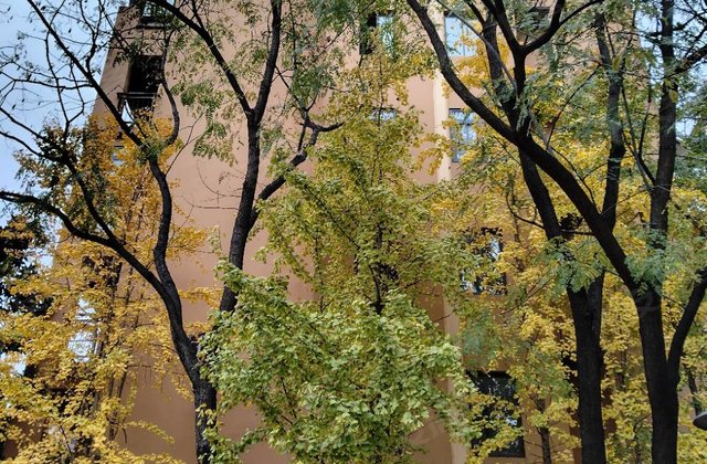 伴山公馆3室2厅133.27㎡43万二手房图片