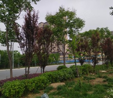 金鹰汉中新城