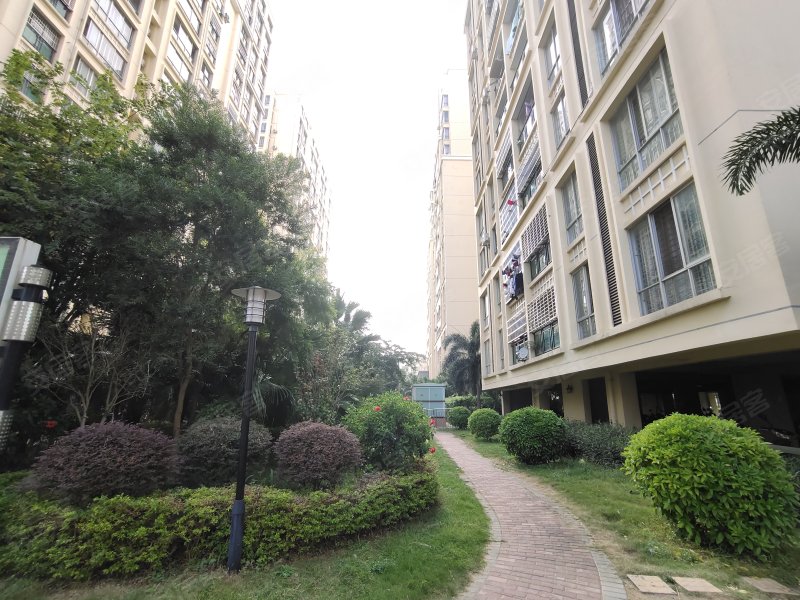 德臣金海花园,上海路中12号-北海德臣金海花园二手房,租房,房价-北海