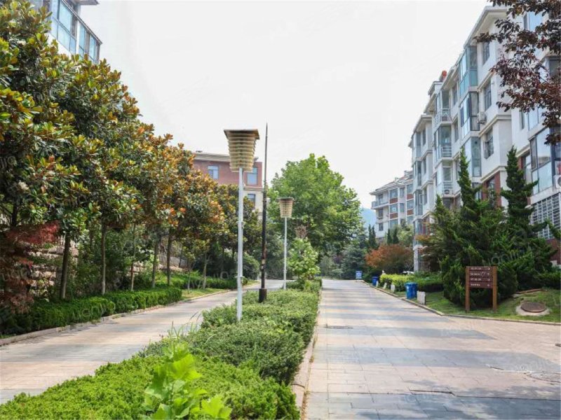 书香门第(崂山),松岭路58号-青岛书香门第(崂山)二手房,租房,房价