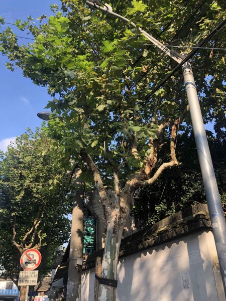 石家街27弄小区,石家街27弄-上海石家街27弄小区二手房,租房,房价