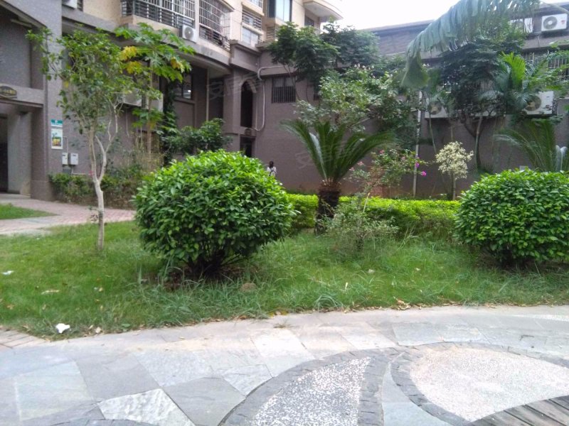 东升花园,水仙大街76号-漳州东升花园二手房,租房,房价-漳州安居客