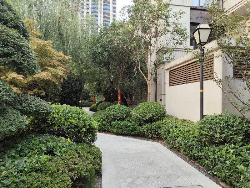 东正颐和府(卧龙)