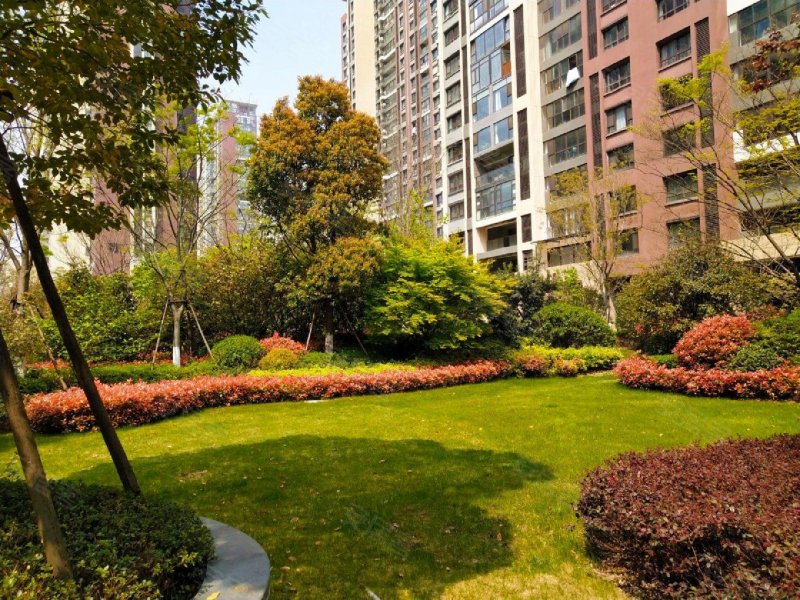 星河国际(六区)