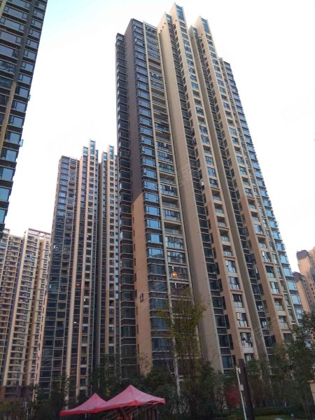 越秀星汇君泊(三期)