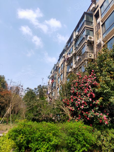 亲亲家园(江北),长兴东路464号-宁波亲亲家园(江北)二手房,租房,房价