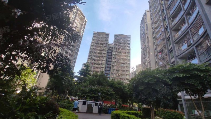 雅居苑,宝安大道1010号-深圳雅居苑二手房,租房,房价-深圳安居客